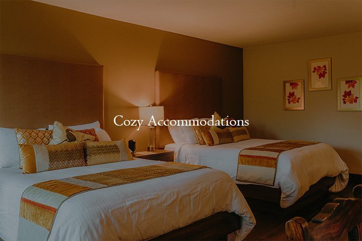 Cozy Accommodations
