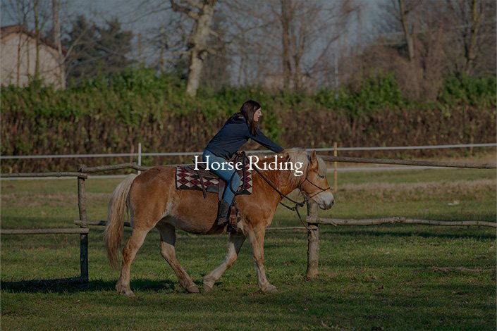 Horse Riding 